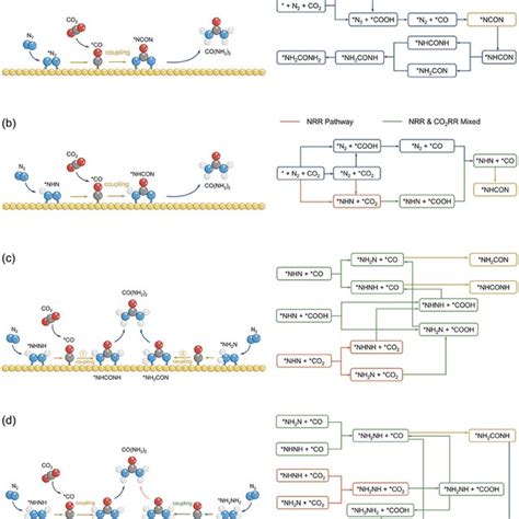 Schematic depiction of all possible mechanisms for urea production from ... 