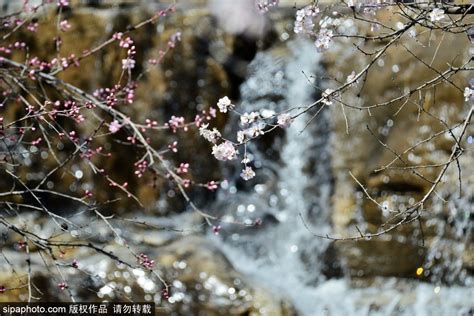 Famous Spots On Xijiao Line Beijing Botanical Garden