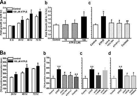 Effects Of Inhibitor On Cell Proliferation And H Thymidine