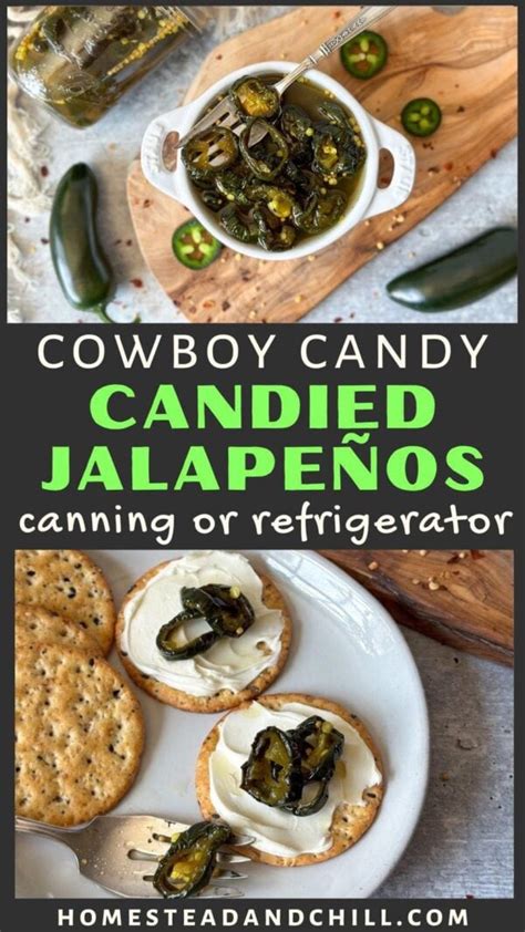 Best Cowboy Candy Recipe Candied Jalapeños Canning Or Refrigerator ~ Homestead And Chill