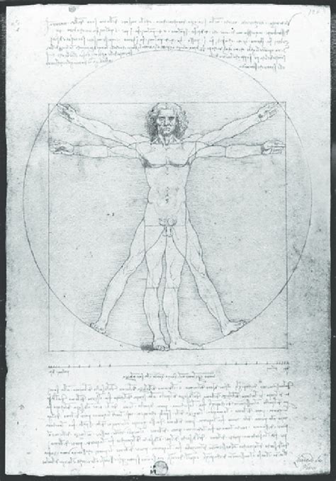 Vitruvian Man Leonardo Da Vinci