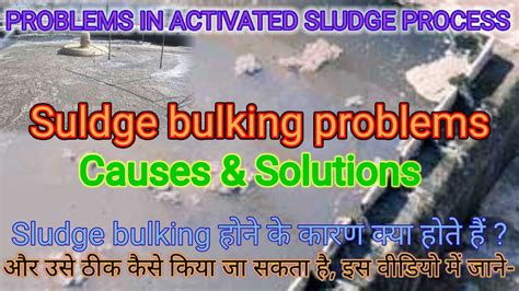 Problems In Activated Sludge Process Sludge Bulking Problem Sludge