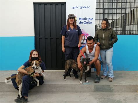 Calderón Así Funciona El Refugio Que Rehabilita Perros Agresivos Y