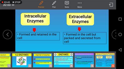 Chapter 5 Enzyme YouTube