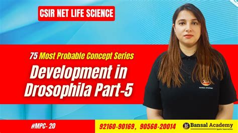 MPC 20 Development In Drosophila Part 5 Development Bio Most Important