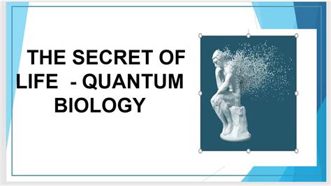 Quantum Biology Introduction Quantum Biology Explained What Is