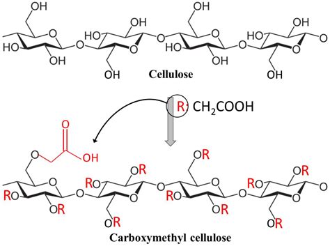 Polymers Free Full Text Micro Nano Carboxymethyl Cellulose As A Promising Biopolymer With