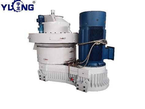 Yulong Biomass White Pine Wood Granulator Zhangqiu Sawdust Log Pellet