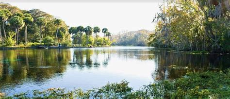 Clear Kayaking at Silver Springs State Park: Voted #1 in the state by Floridians | Epic Paddle ...