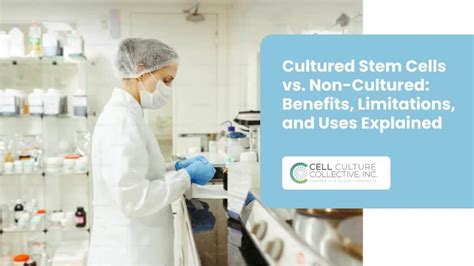 What Is Suspension Cell Culture A Complete Guide For Researchers