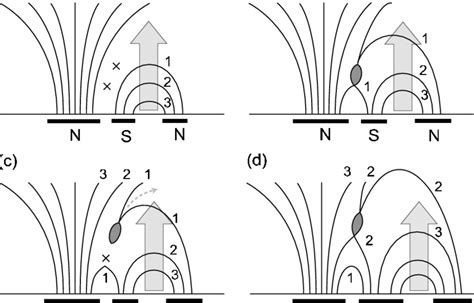 Schematic Cartoons Illustrating The Interaction Between The Newly