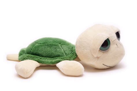 Plush turtle stock image. Image of background, unhurried - 4466295