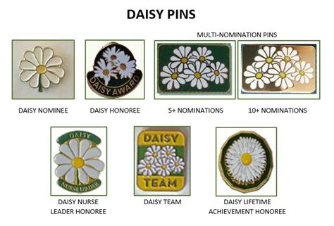 DAISY Pins in 2023 | Daisy, Pins, Fun