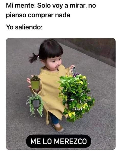 Pin By Mai Soto On Se Ora De Las Plantas Memes Funny Memes Plant Mom