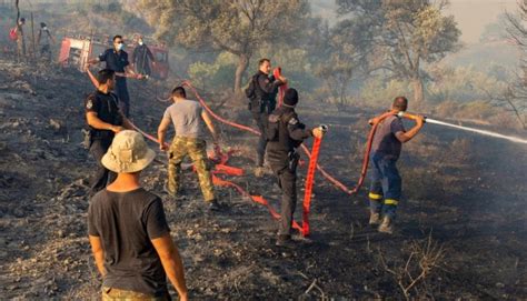 Ola De Calor Miles De Evacuados En Grecia Por Los Incendios Forestales