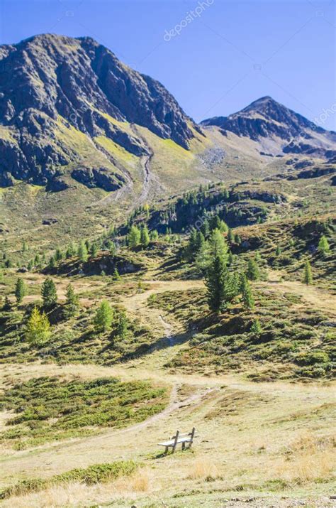 vegetación de montaña prados verdes en medio de exuberantes bosques