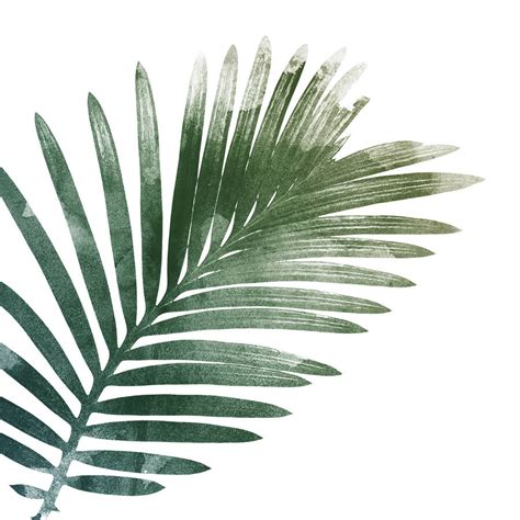 Palm Leaf Art Print By Georgie St Clair