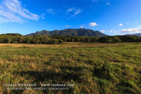 Koniambo Massif Kone New Caledonia Tikiwaka New Caledonia Stock Photo