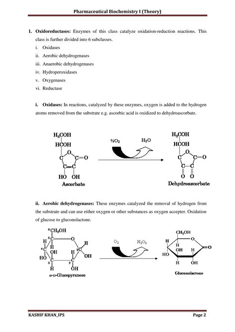 SOLUTION Enzyme Classification Studypool