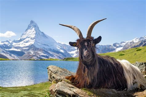 Sehenswürdigkeiten In Der Schweiz Featuredch