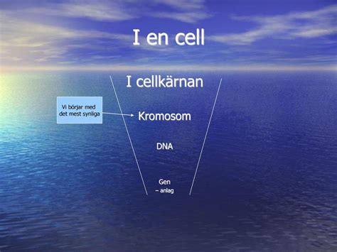 Genetik Rftlighetsl Ra Utseende R Relser Hum R Mm Intelligens Ppt