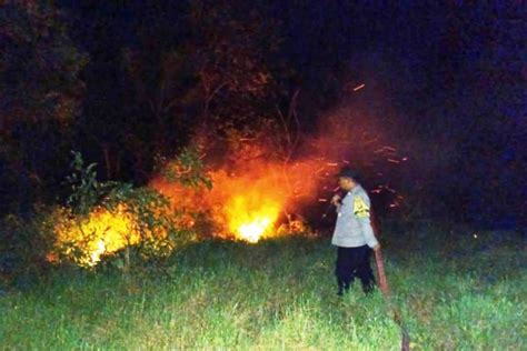 BMKG Deteksi 132 Titik Panas Di Kalimantan Timur ANTARA News