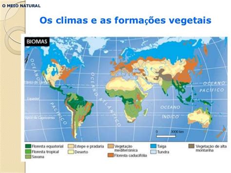 Climas E Formações Vegetais