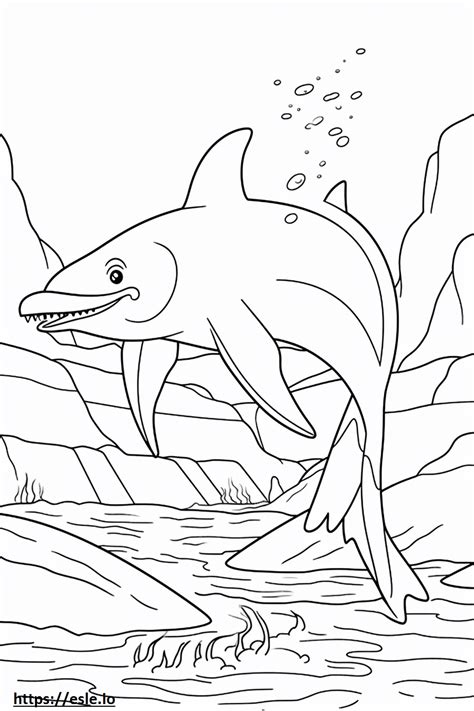 Baleen Whale Playing Coloring Page