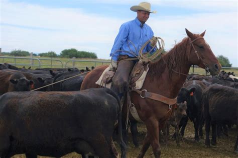 Cattle Market Reform Cannot Wait - US Cattlemen's Association