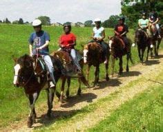 Equine Trail Riding Ideas Trail Riding Riding Equines