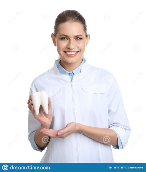 Female Dentist Holding Tooth Model On White Stock Image Image Of