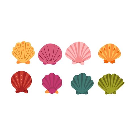 Premium Vector Set Of Colorful Seashells Isolated On White Background