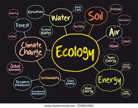 Ecology Mind Map Flowchart Concept Presentations Stock Vector (Royalty ...