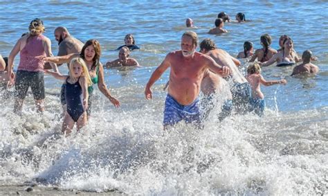 Polar Bears Celebrate 2024 With Dip In San Pedros Cabrillo Beach San