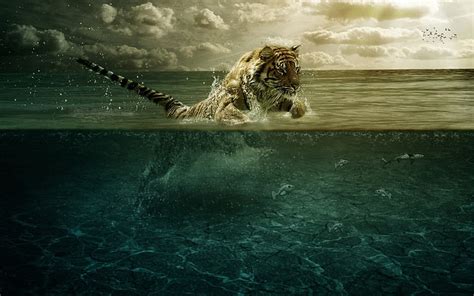 HD wallpaper: bengal tiger, jump, sea, underwater, hunting, animal ...