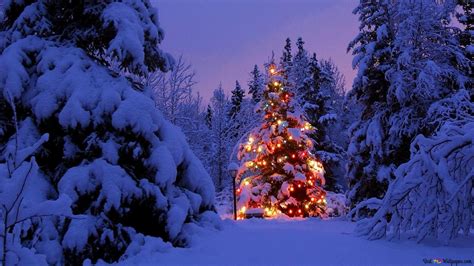 4k Christmas Tree Wallpapers - Wallpaper Cave