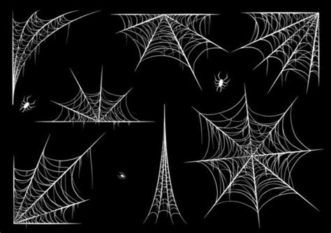 Spiderweb Vector Art Icons And Graphics For Free Download