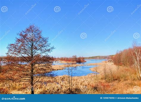 Autumn Scenery Of The River And Forest In The Background Stock Photo