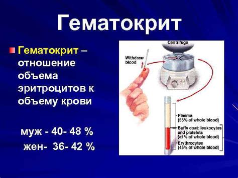 Гематокрит