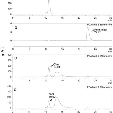 Size Exclusionhigh Performance Liquid Chromatography SEC HPLC