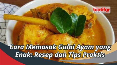 memasak gulai ayam  enak resep  tips praktis biotifor