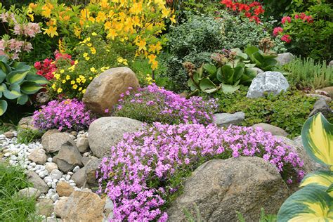 30 Gorgeous Rock Garden Ideas For Beautiful Backyard Landscaping