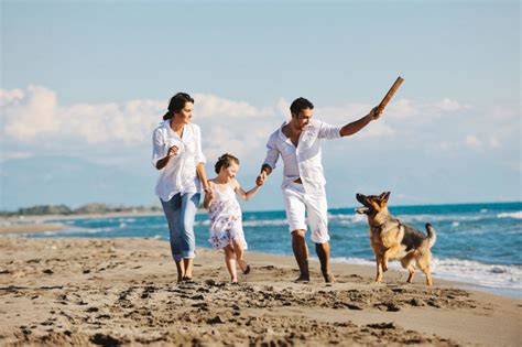 Formas Divertidas De Pasar Vacaciones Con Tus Perros Y Mascotas