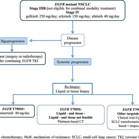 Potential Treatment Algorithm For Advanced Egfr Mutated Nsclc Patients Download Scientific