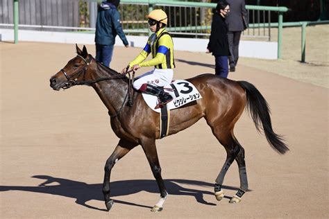 【新馬中山6r】ハーツクライ産駒 ピクシレーションがデビュー勝ち（競馬のおはなし）｜dメニューニュース（nttドコモ）