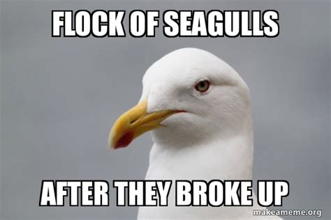 Flock Of Seagulls After They Broke Up Stuff That Didnt Happen