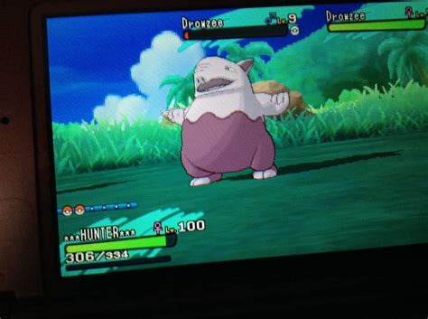 Shiny Drowzee Finally Shiny Pokemon Amino Amino