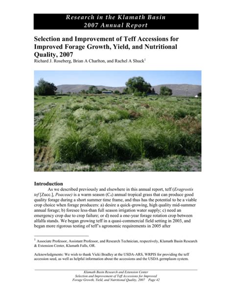 Selection And Improvement Of Teff Accessions For Improved