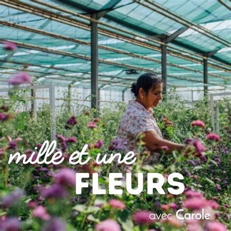 Une journée d immersion avec une horticultrice fleuriste