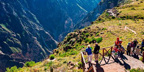 Descubre la Majestuosidad del Cañón del Colca Cómo Llegar desde Puno y